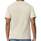 Gildan Unisex Softstyle Midweight T-Shirt, Sand Short Sleeve Crewneck Tee Set for Heat Transfer